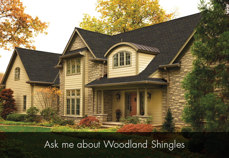 GAF woodland